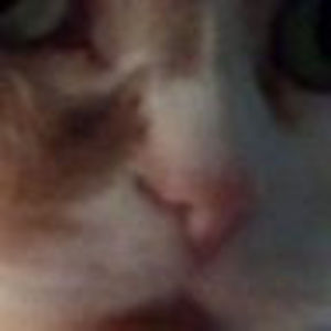 Meet your Posher, Molly